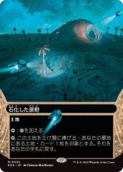 画像1: 【JPN/EOS】石化した原野/Petrified Field