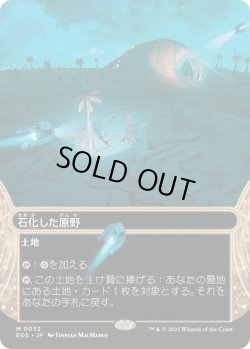 画像1: 【JPN/EOS】石化した原野/Petrified Field