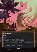 【JPN/EOS】睡蓮の原野/Lotus Field【068】