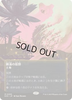 画像1: 【JPN/EOS】睡蓮の原野/Lotus Field【068】  