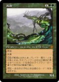 【JPN/H2R】忍耐/Endurance【旧枠】