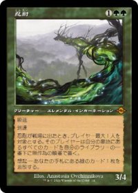 【JPN/H2R】忍耐/Endurance【旧枠】
