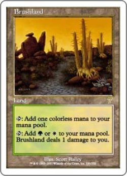 画像1: 【ENG/7ED】低木林地/Brushland