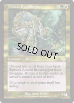 画像1: 【ENG/JUD】藪跳ねアヌーリッド/Anurid Brushhopper