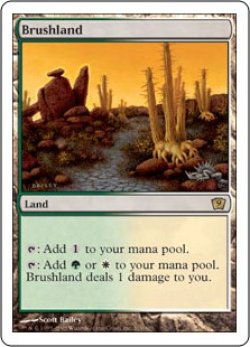 画像1: 【JPN/9ED】低木林地/Brushland【EX-】