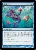 【JPN/LRW】思案/Ponder【EX-】