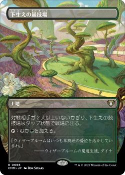 画像1: 【JPN/CMM-BF/FOIL★】下生えの競技場/Undergrowth Stadium【ボーダーレス】