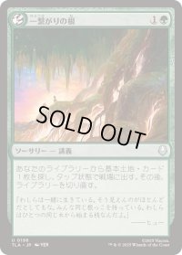 【JPN/TLA/FOIL★】一繋がりの根/Shared Roots [緑] 『U』