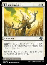 【JPN/MH3】剃刀草の待ち伏せ/Razorgrass Ambush