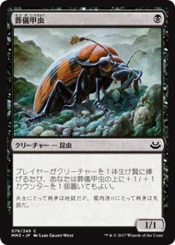画像1: 【JPN/MM3】葬儀甲虫/Mortician Beetle