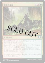 【JPN/RNA】野生の律動/Rhythm of the Wild