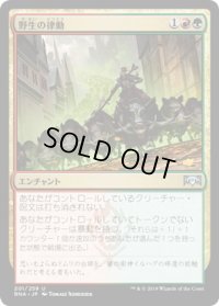 【JPN/RNA】野生の律動/Rhythm of the Wild