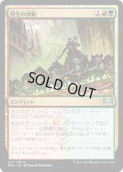 画像1: 【JPN/RNA】野生の律動/Rhythm of the Wild