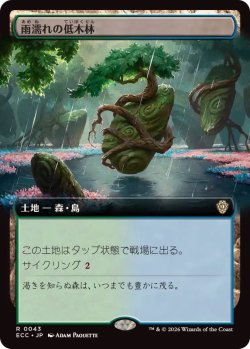 画像1: 【JPN/ECC】雨濡れの低木林/Rain-Slicked Copse【拡張アート】