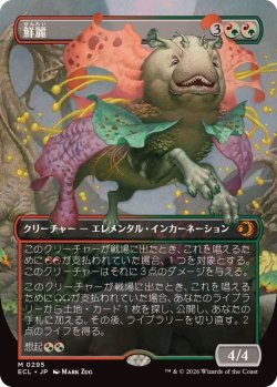 画像1: 【JPN/ECL-BF】鮮麗/Vibrance [マルチ] 『M』【ボーダーレス】