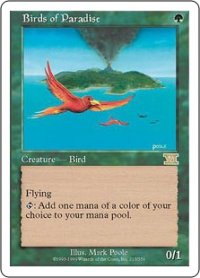 【JPN/6ED】極楽鳥/Birds of Paradise