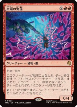 画像1: 【JPN/TMC】帯電の海藻/Electric Seaweed