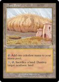 【JPN/MMQ】黄塵地帯/Dust Bowl【VG】