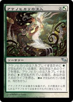 画像1: 【JPN/SHM】アケノヒカリの注入/Dawnglow Infusion