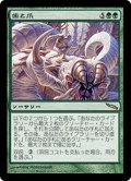 【JPN/MRD】歯と爪/Tooth and Nail