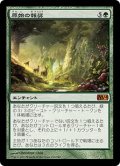 【JPN/M14】原始の報奨/Primeval Bounty
