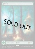 【ENG/PRM/FOIL★】森/Forest