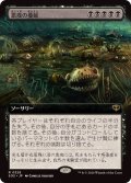 【JPN/SOS-BF】悪疫の蔓延/Pox Plague『黒』『R』【拡張アート】