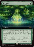 【JPN/SOS-BF/FOIL★】次元工学/Planar Engineering『緑』『R』【拡張アート】