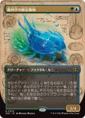【JPN/SOS-BF】幾何学の節足動物/Geometer's Arthropod『マルチ』『R』【ボーダーレス】