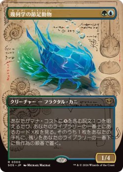 画像1: 【JPN/SOS-BF】幾何学の節足動物/Geometer's Arthropod『マルチ』『R』【ボーダーレス】