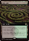 【JPN/SOC】渦巻く湿原/Turbulent Fen【拡張アート】