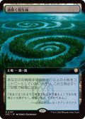 【JPN/SOC】渦巻く原生林/Turbulent Wilderness【拡張アート】
