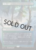 【JPN/SPG/FOIL★】霧深い雨林/Misty Rainforest [土地] 『M』