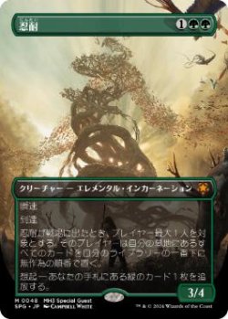 画像1: 【JPN/SPG/FOIL★】忍耐/Endurance [緑] 『M』