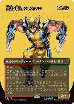 画像1: 【JPN/MSH-BF】獰猛な戦士、ウルヴァリン/Wolverine, Fierce Fighter［マルチ］『R』【ボーダーレス】