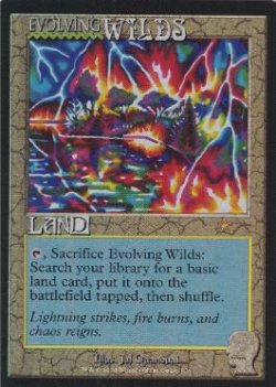 画像1: 【ENG/SLD/FOIL★】進化する未開地/Evolving Wilds