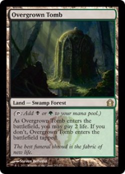 画像1: 【ENG/RTR】草むした墓/Overgrown Tomb