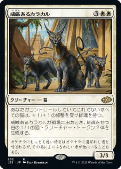 画像1: 【JPN/J22】威厳あるカラカル/Regal Caracal