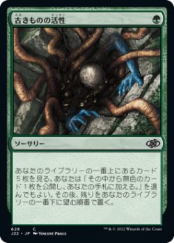 画像1: 【JPN/J22】古きものの活性/Ancient Stirrings