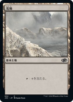 画像1: 【JPN/J22】荒地/Wastes