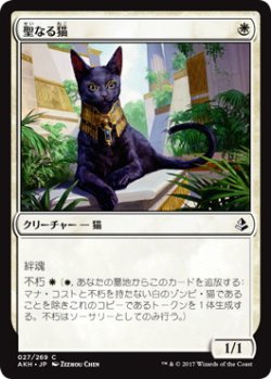 画像1: 【JPN/AKH/FOIL★】聖なる猫/Sacred Cat