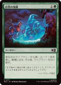 【JPN/MSC】自然の知識/Nature's Lore［緑］『C』