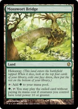 画像1: 【ENG/C13】苔汁の橋/Mosswort Bridge