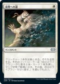 【JPN/2XM】流刑への道/Path to Exile  