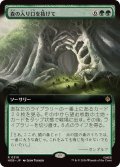【JPN/HOB-BF】森の入り口を抜けて/Through the Forest Gate［緑］『R』『拡張アート』