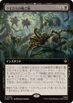 画像1: 【JPN/HOB-BF】クモたちの晩ご飯/Supper for Spiders［黒］『R』『拡張アート』