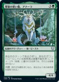 【JPN/CMR】尊狼の使い魔、アナーラ/Anara, Wolvid Familiar