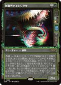 【JPN/DSK-BF】雑食性ハエトリグサ/Omnivorous Flytrap  [緑] 『R』【ショーケース】  