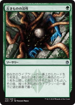 画像1: 【JPN/A25】古きものの活性/Ancient Stirrings
