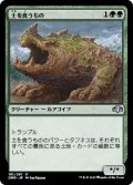 【JPN/DMR】土を食うもの/Terravore